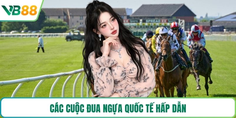 Các cuộc đua ngựa quốc tế hấp dẫn