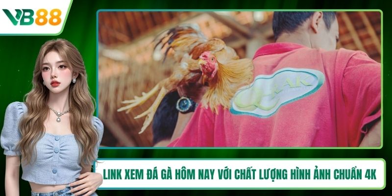 Link xem đá gà hôm nay