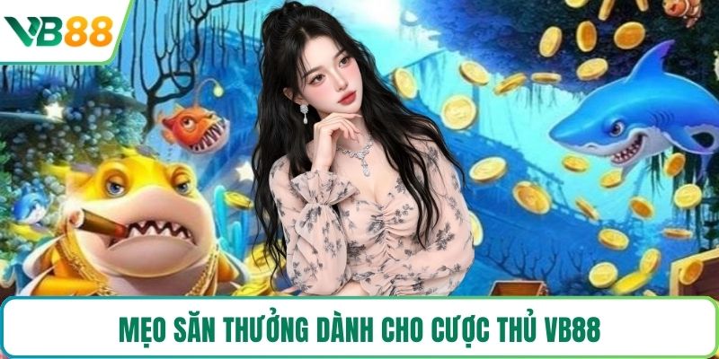 Mẹo săn thưởng dành cho cược thủ VB88