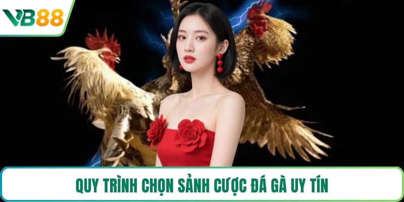 Quy trình chọn sảnh cược đá gà uy tín