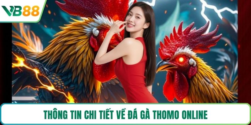 Thông tin chi tiết về đá gà Thomo online