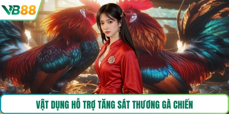 Vật dụng hỗ trợ tăng sát thương gà chiến